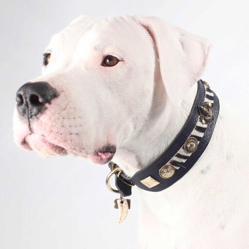 Buddha Salvaje Dog Collar - BARCELONADOGS