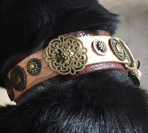 Esparta Dog Collar