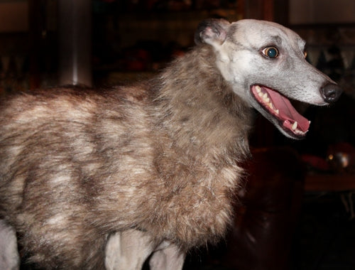 Faux Fur Whippet Coat