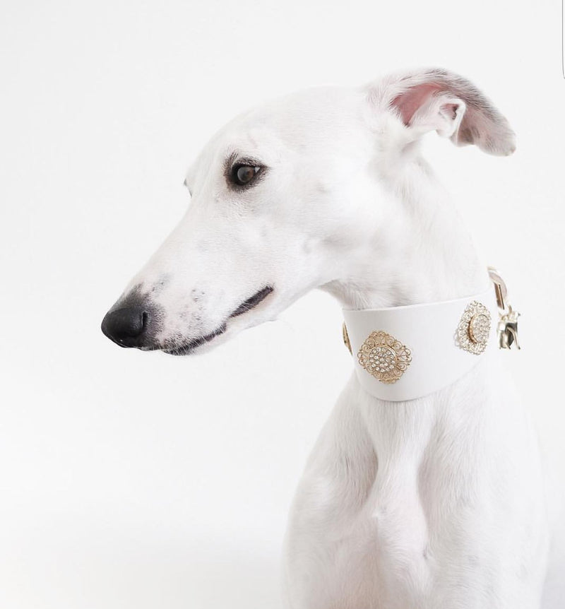 Filigree Crystal Sighthound Collar - BARCELONADOGS