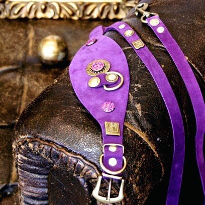Legend Sighthound Collar - BARCELONADOGS