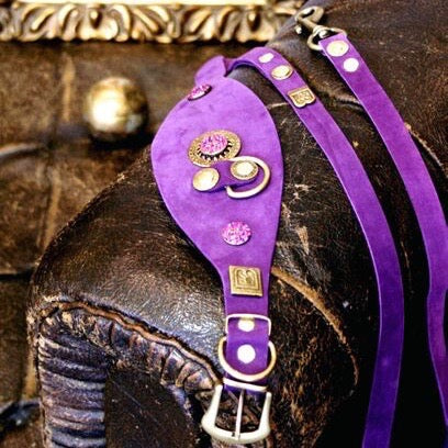 Legend Italian Greyhound Collar - BARCELONADOGS