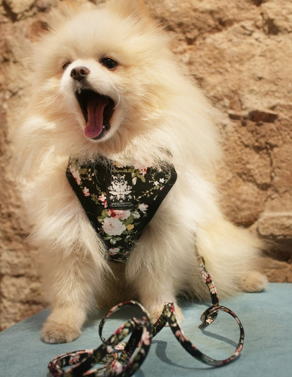 Black Vintage Rose Harness with Leash