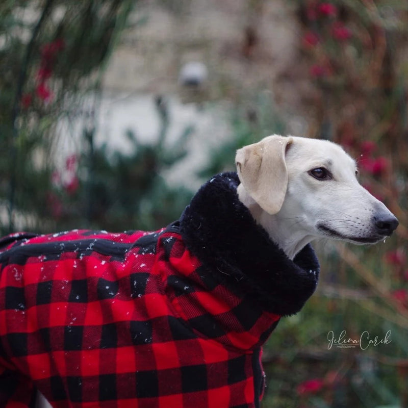 Red Black Buffalo Plaid Sighthound Coat - BARCELONADOGS