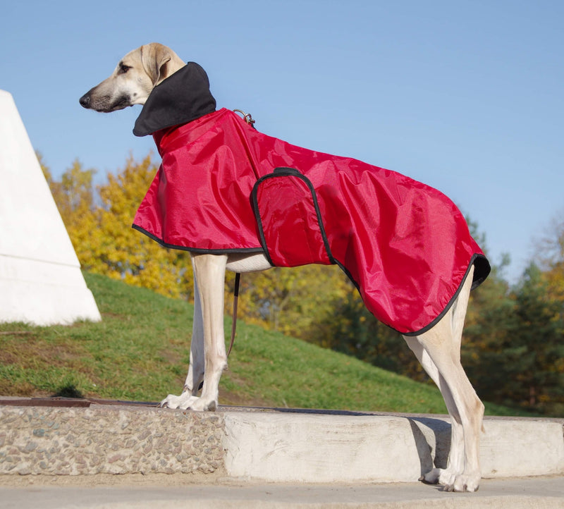 Little Red Riding Hood Coat Sighthounds