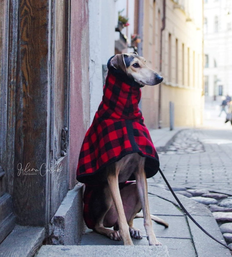 Red Black Buffalo Plaid Sighthound Coat - BARCELONADOGS