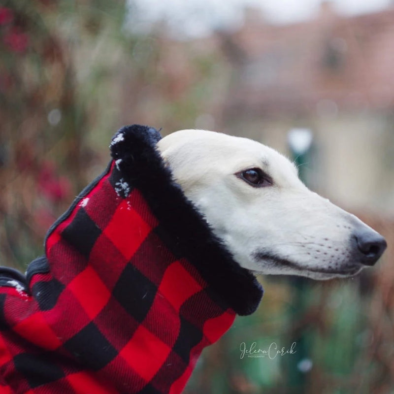 Red Black Buffalo Plaid Sighthound Coat - BARCELONADOGS