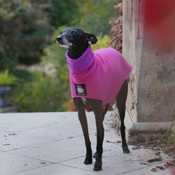 Italian Greyhound Fleece Coat