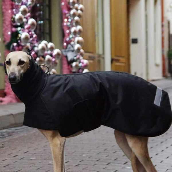 Black Waterproof Urban Coat - BARCELONADOGS