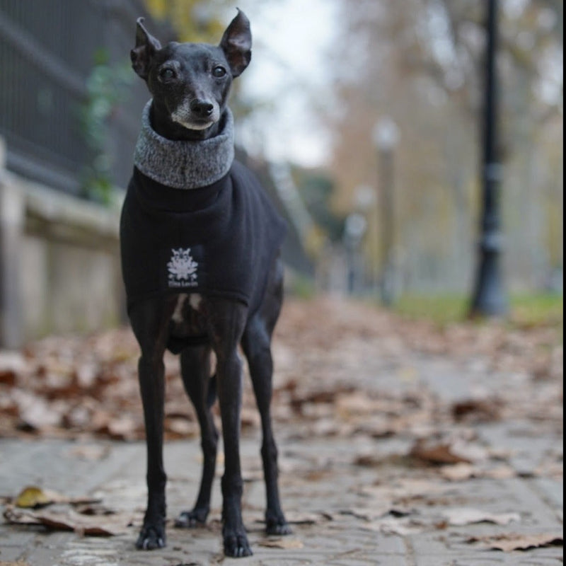 Italian Greyhound Fleece Coat