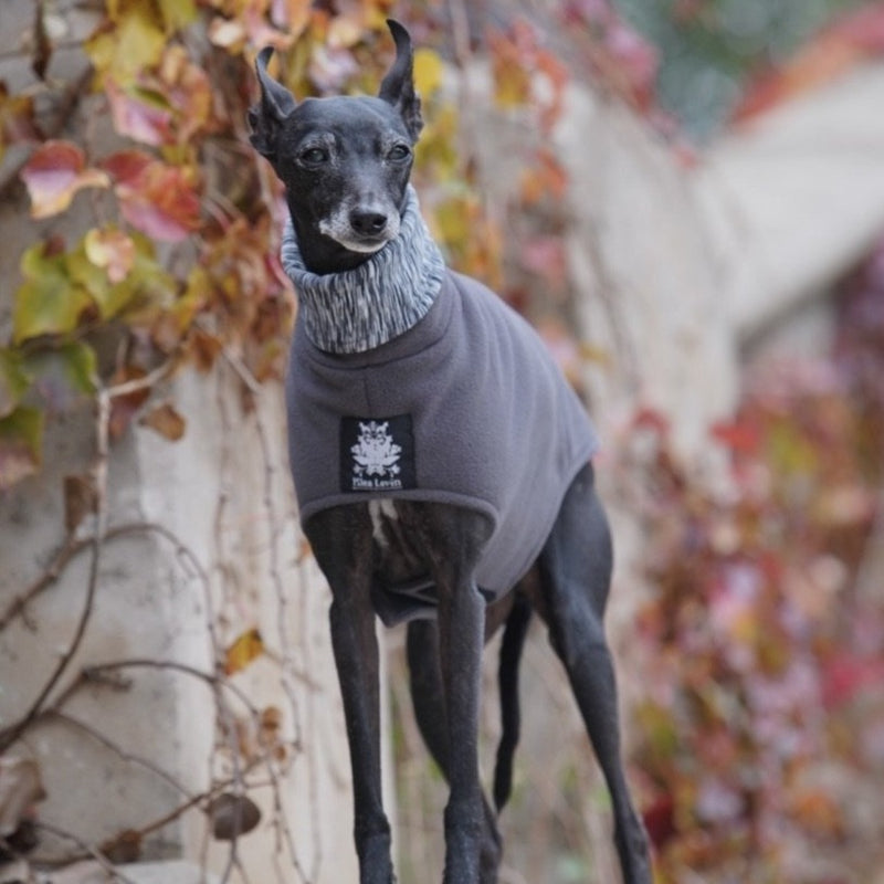 Italian Greyhound Fleece Coat