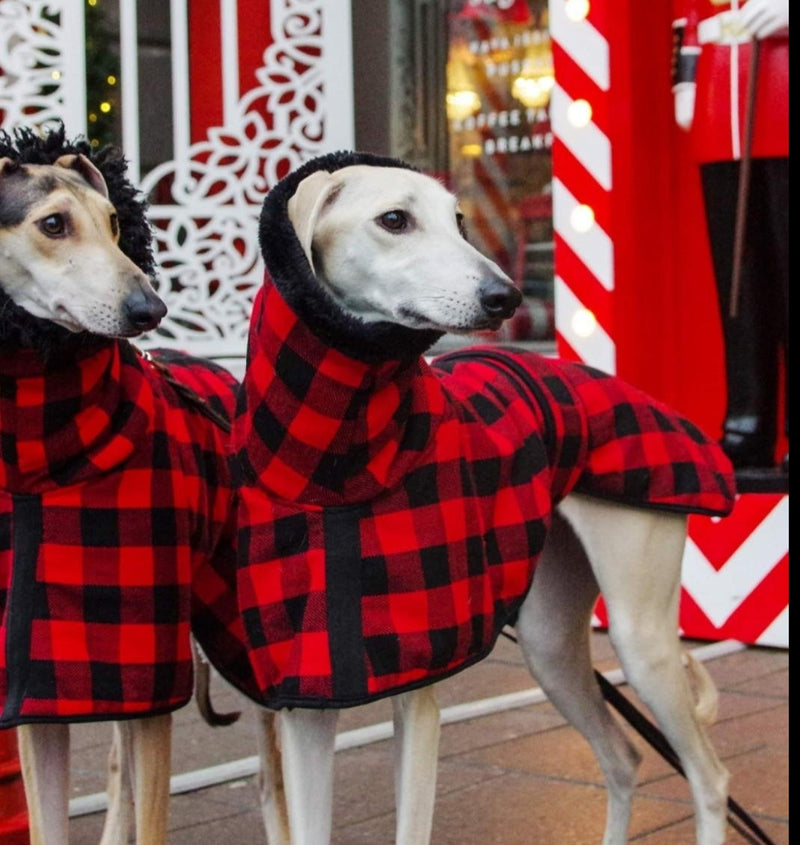 Red Black Buffalo Plaid Sighthound Coat - BARCELONADOGS