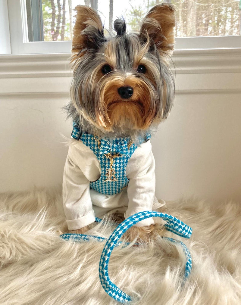LUXURY Turquoise Pepita Harness