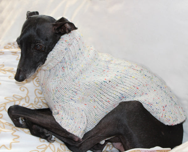 Beige sweater for small Sighthounds