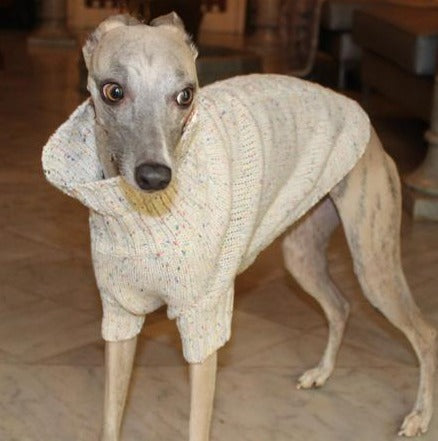 Beige sweater for small Sighthounds