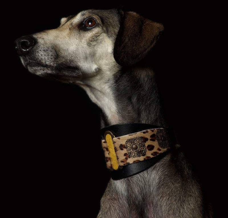 Lazaro Collar - BARCELONADOGS