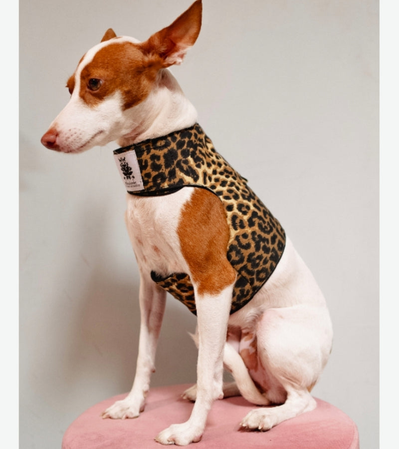Leopard Harness Coat