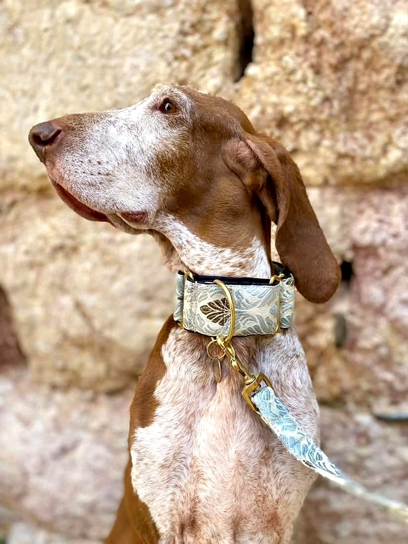 Celeste SET of  Martingale and Leash