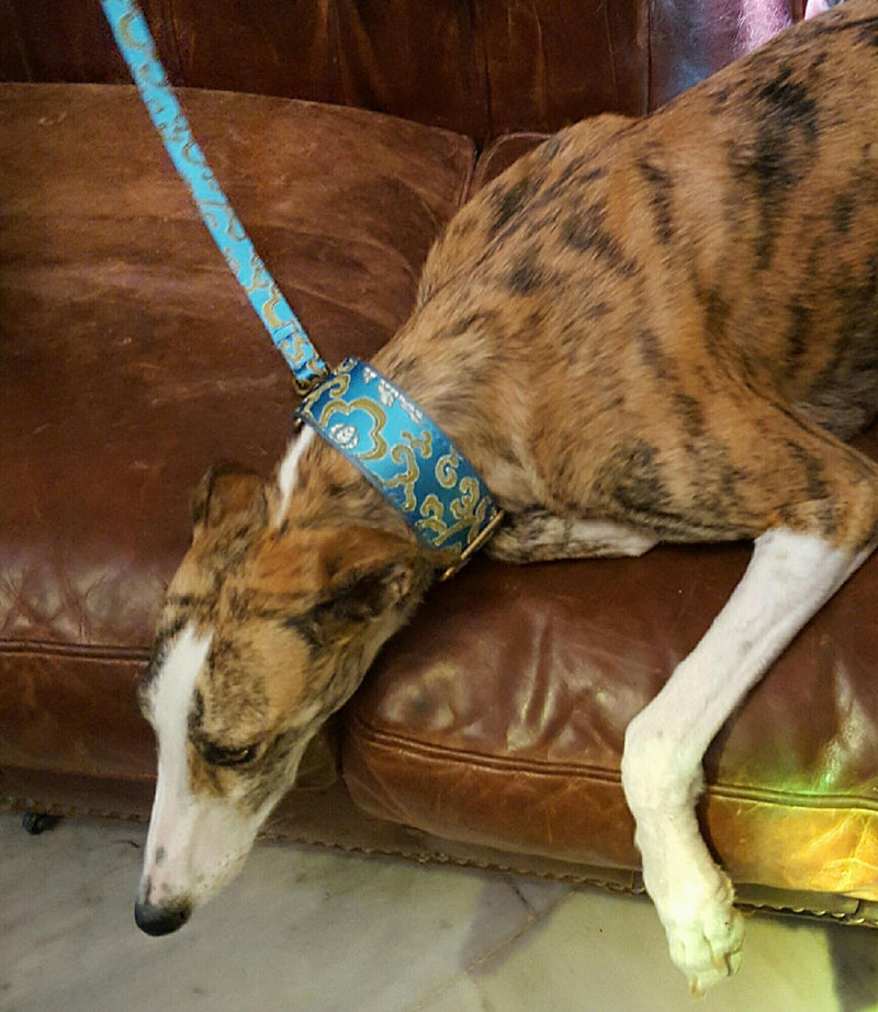 Extra Wide Martingale (28-50 cm)