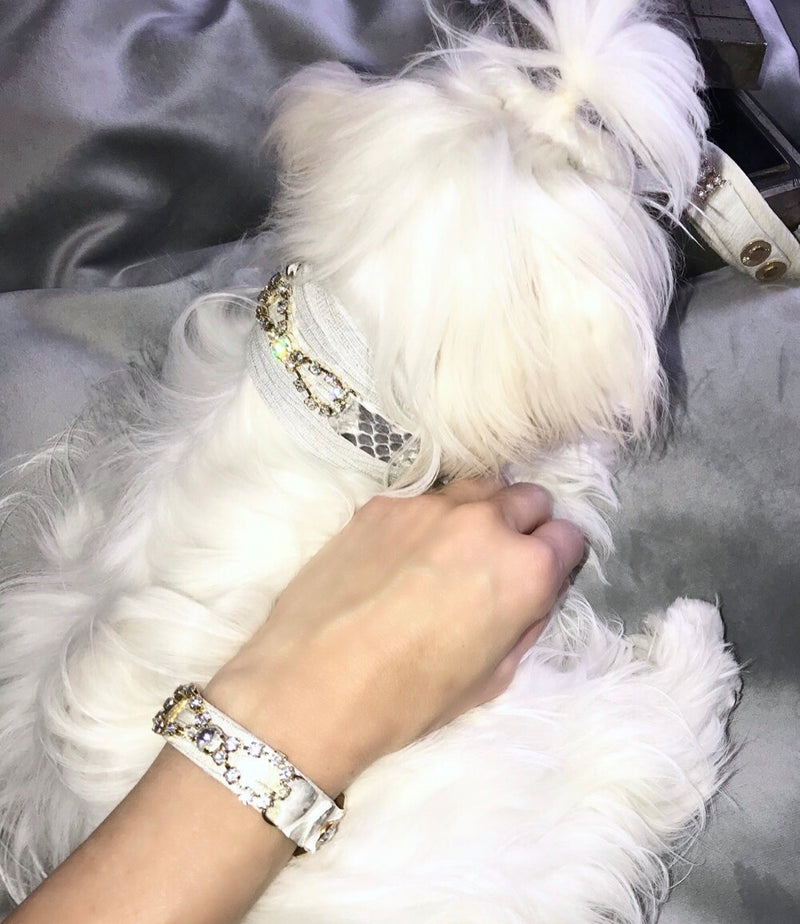 Tribal Rosette Bracelet - BARCELONADOGS