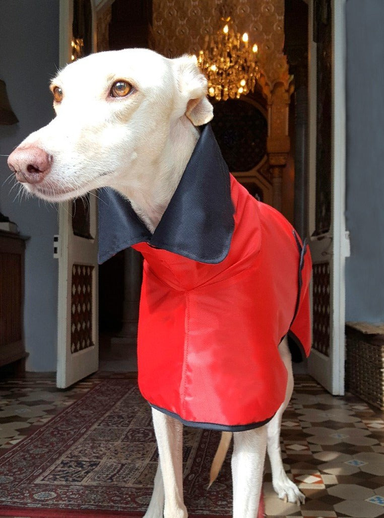 Little Red Riding Hood Coat Sighthounds