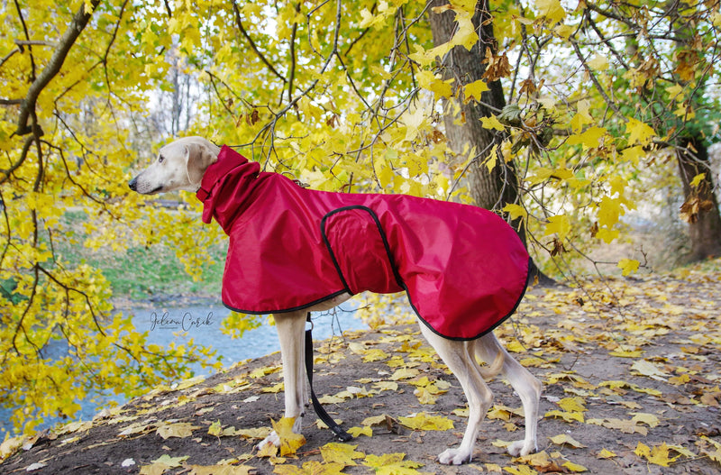 Little Red Riding Hood Coat Sighthounds - BARCELONADOGS
