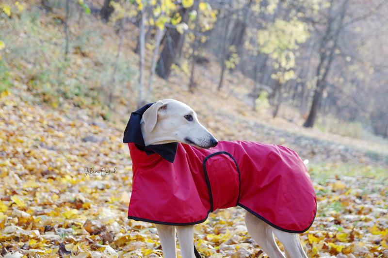 Little Red Riding Hood Coat Sighthounds - BARCELONADOGS