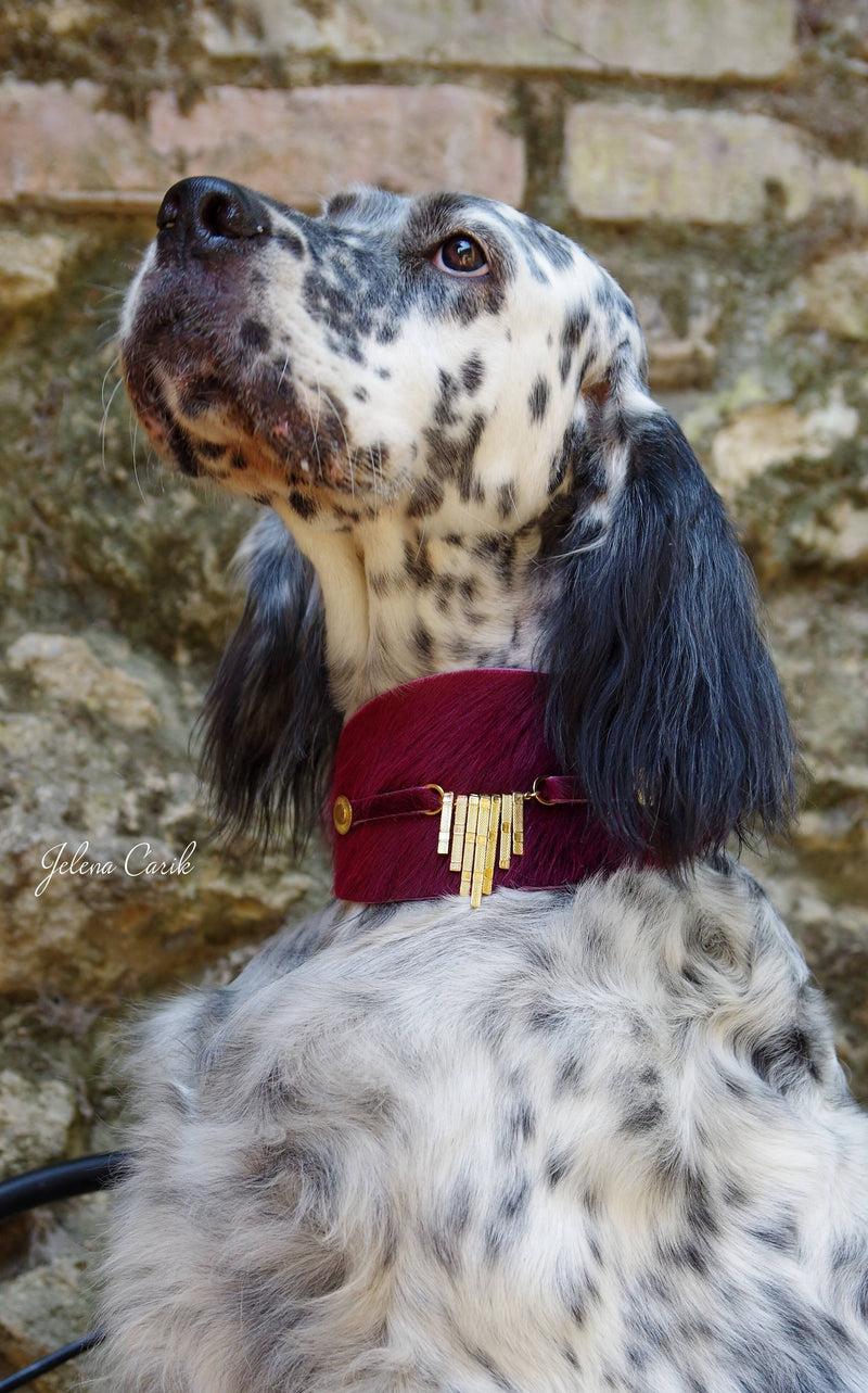 Bizarre Sighthound Collar - BARCELONADOGS