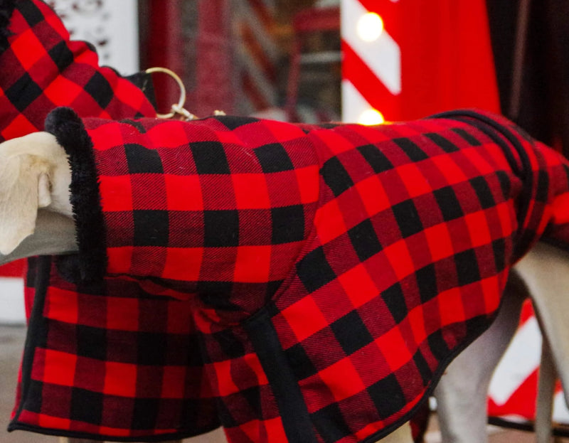 Red Black Buffalo Plaid Sighthound Coat - BARCELONADOGS