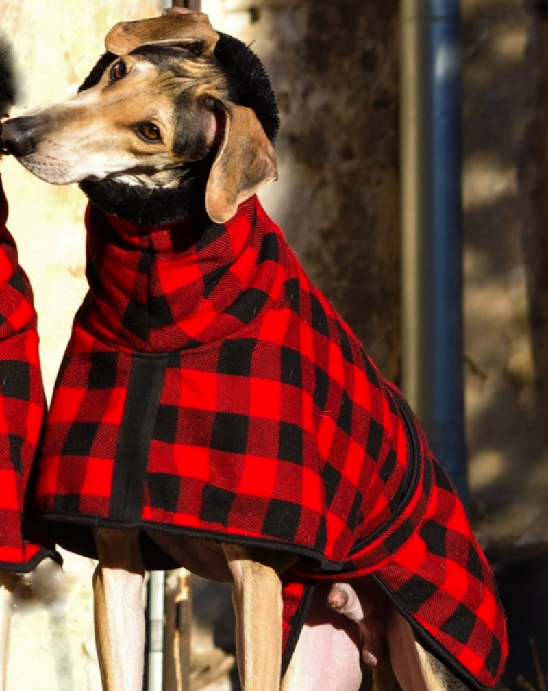 Red Black Buffalo Plaid Sighthound Coat - BARCELONADOGS