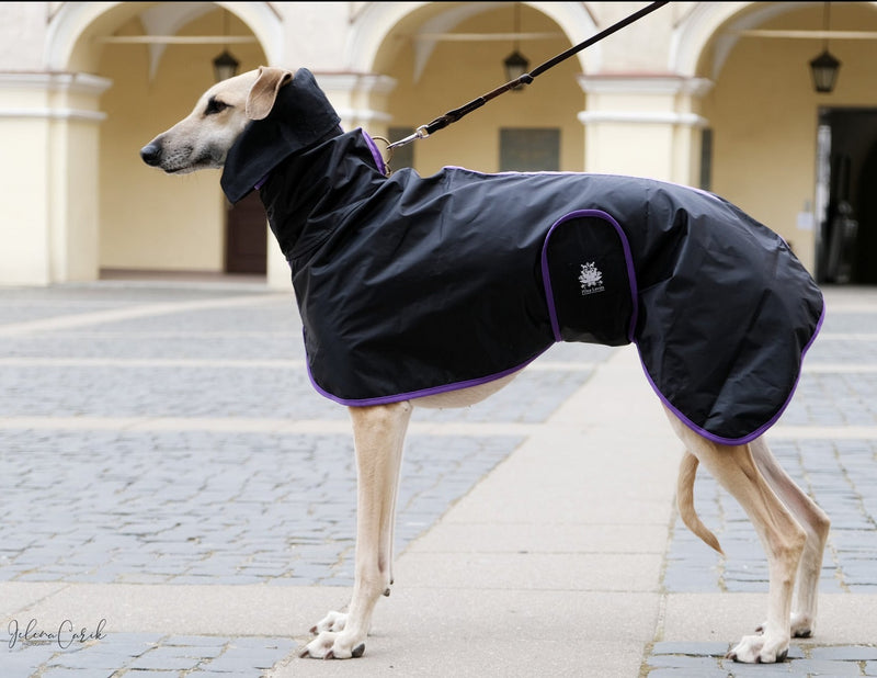 Sporty chic rain/wind coat