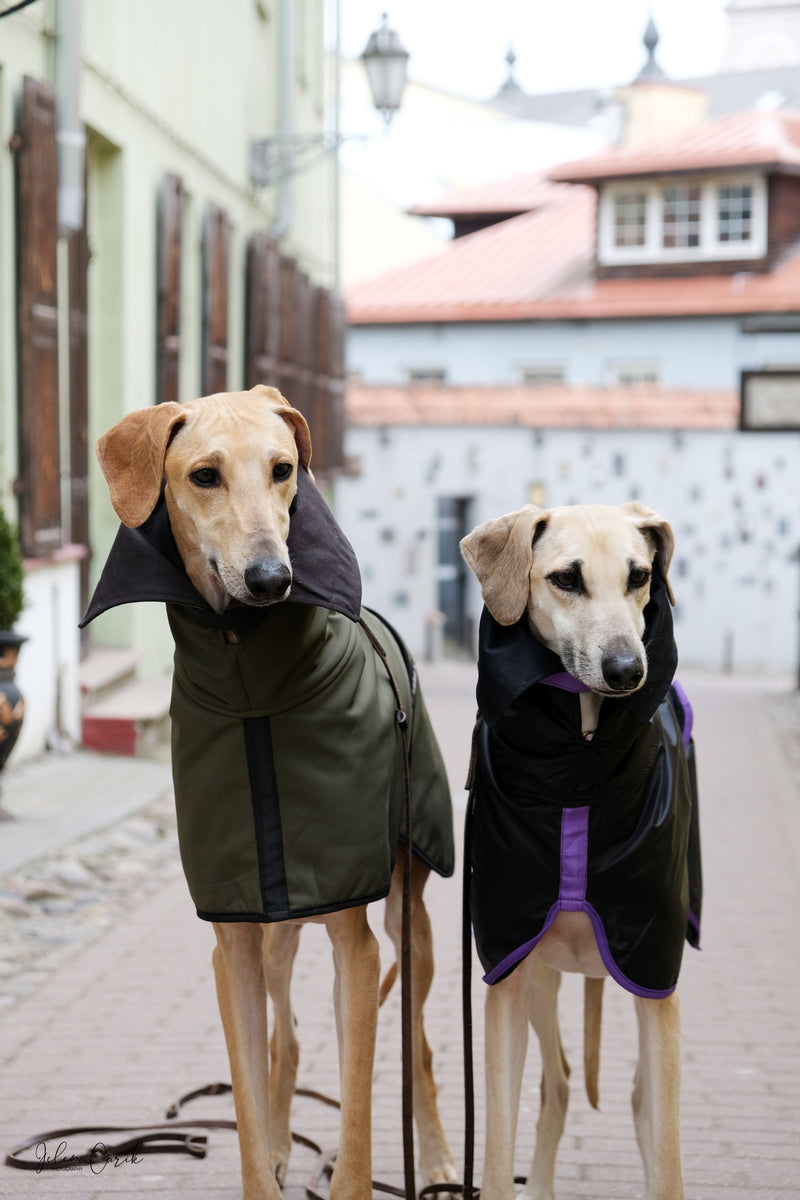 Sporty chic rain/wind coat