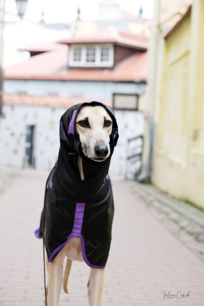 cover head rain coat sighthound
