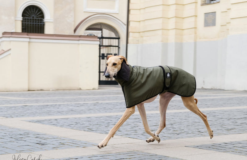 Sporty chic rain/wind coat