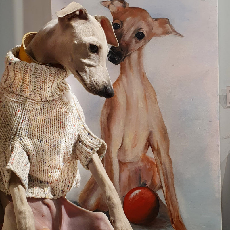 Beige sweater for small Sighthounds