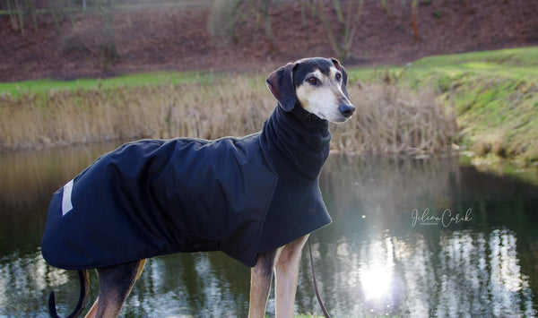 Black Waterproof Urban Coat - BARCELONADOGS