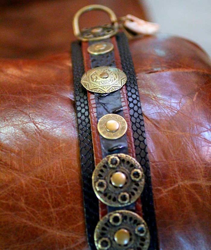 Viking de Luxe Dog Collar - BARCELONADOGS